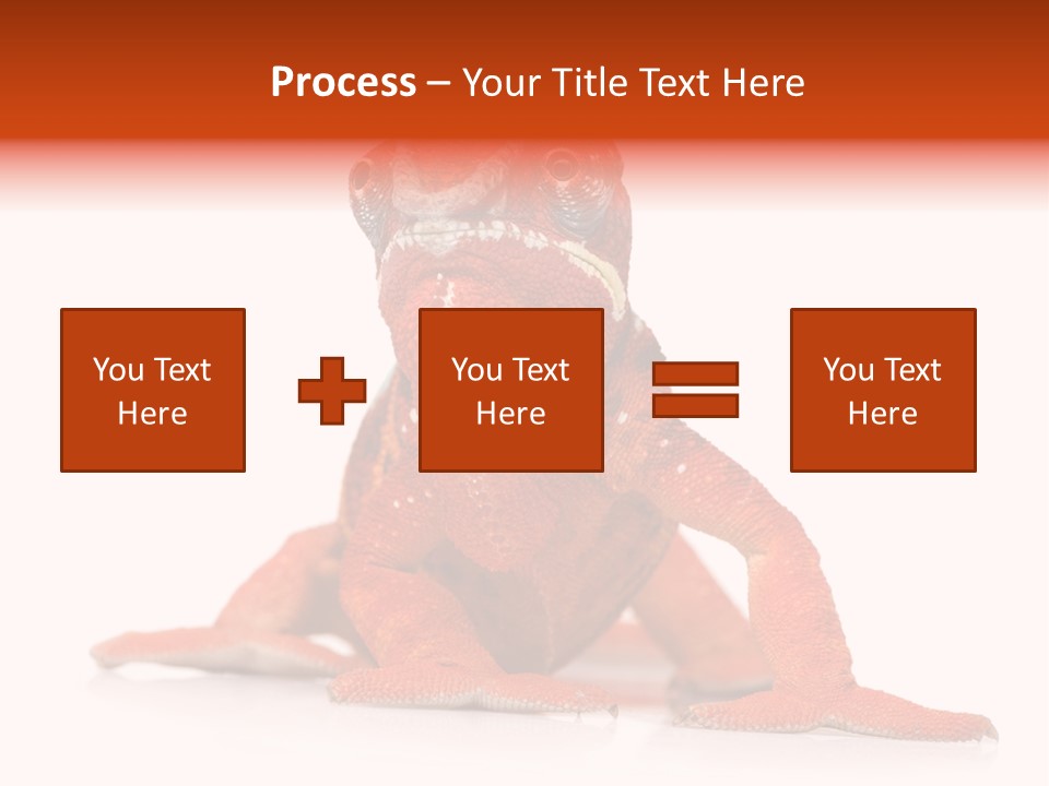 Endangered Chameleon Furcifer Pardalis Gazing PowerPoint Template