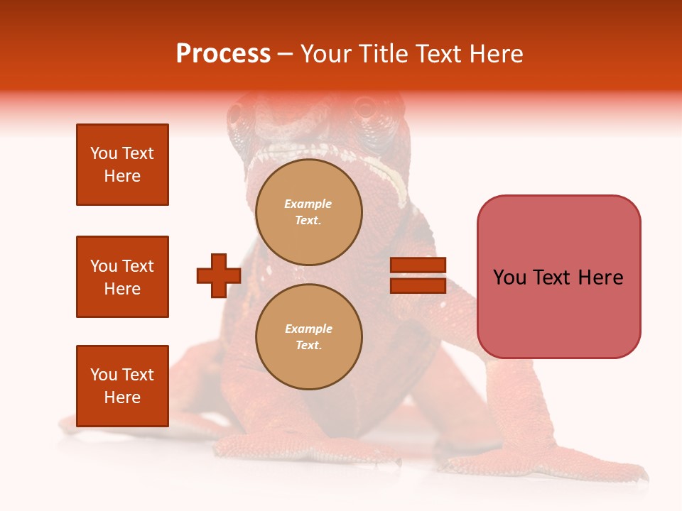 Endangered Chameleon Furcifer Pardalis Gazing PowerPoint Template