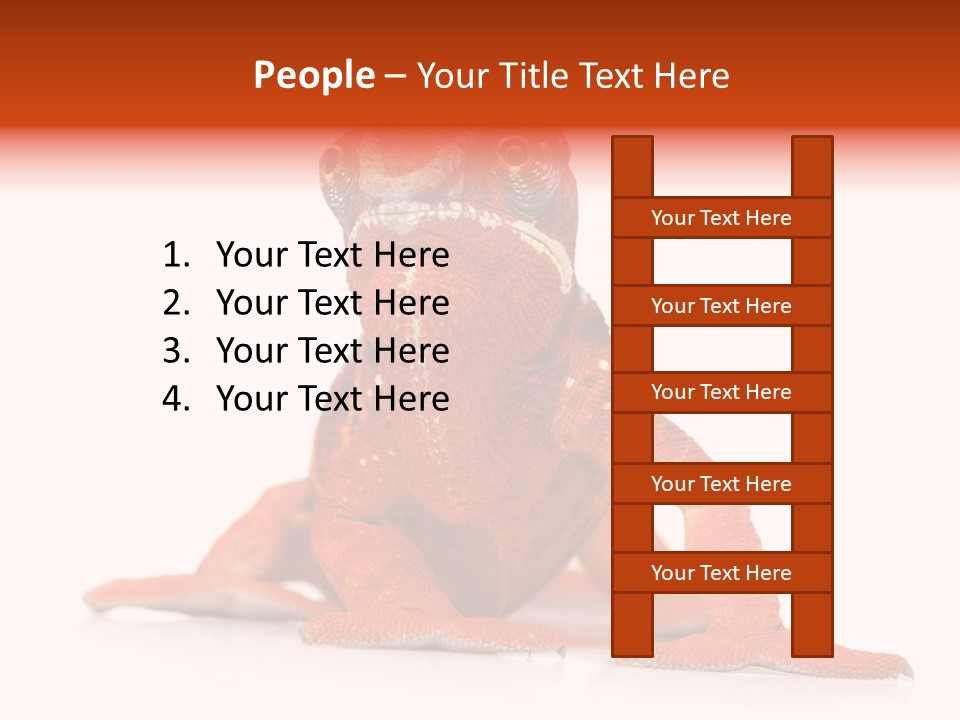 Endangered Chameleon Furcifer Pardalis Gazing PowerPoint Template