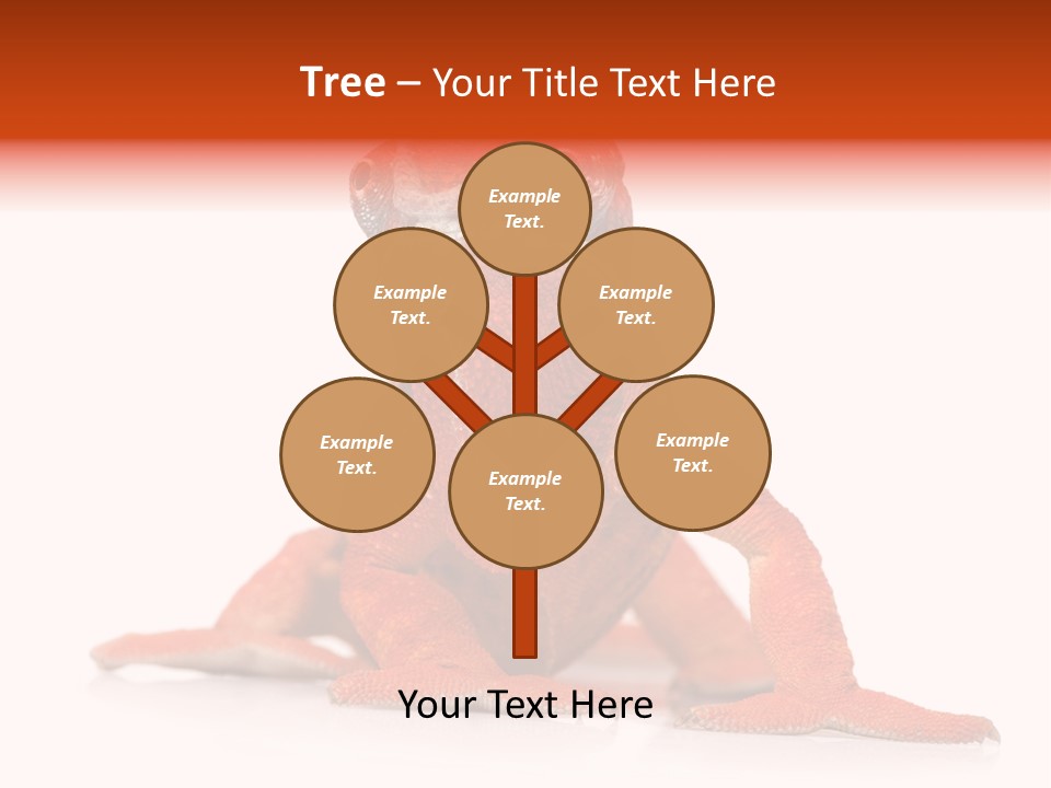 Endangered Chameleon Furcifer Pardalis Gazing PowerPoint Template