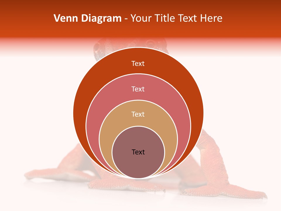 Endangered Chameleon Furcifer Pardalis Gazing PowerPoint Template