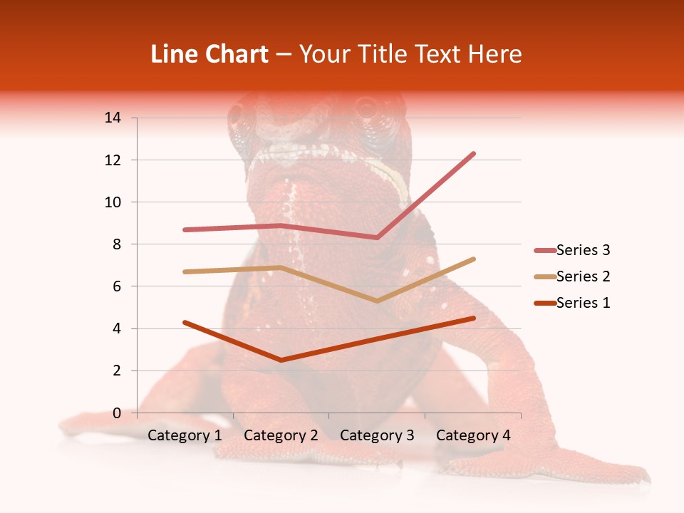 Endangered Chameleon Furcifer Pardalis Gazing PowerPoint Template