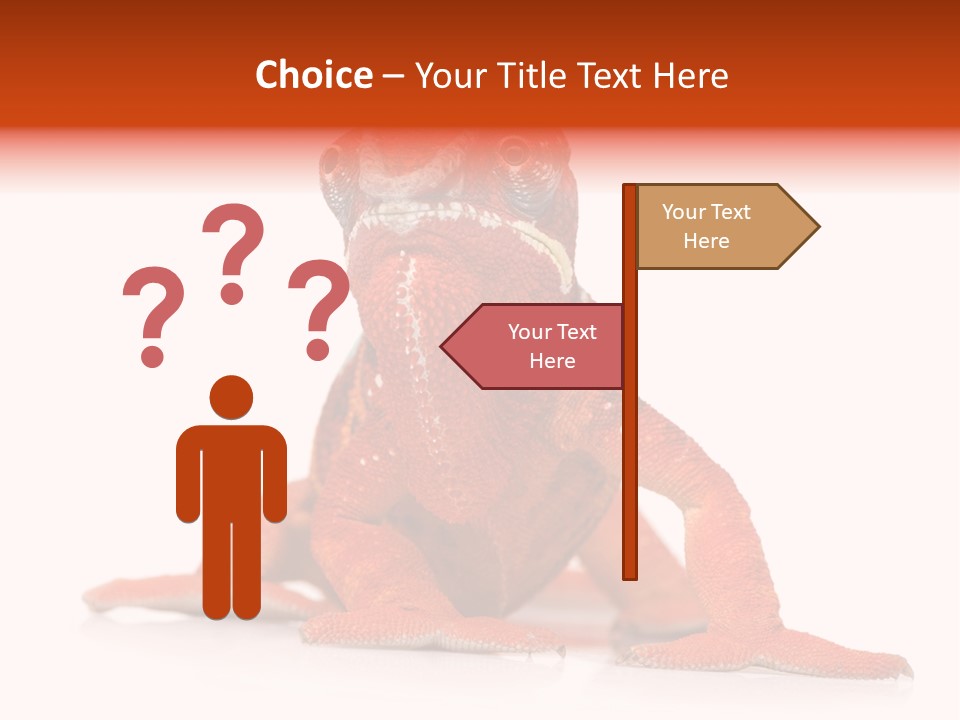 Endangered Chameleon Furcifer Pardalis Gazing PowerPoint Template