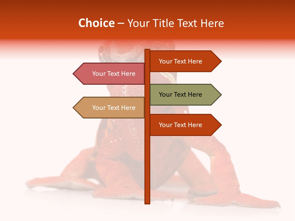 Endangered Chameleon Furcifer Pardalis Gazing PowerPoint Template