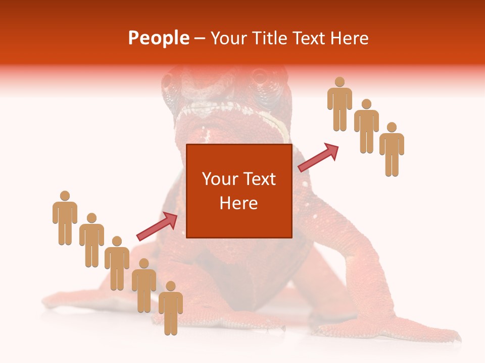 Endangered Chameleon Furcifer Pardalis Gazing PowerPoint Template