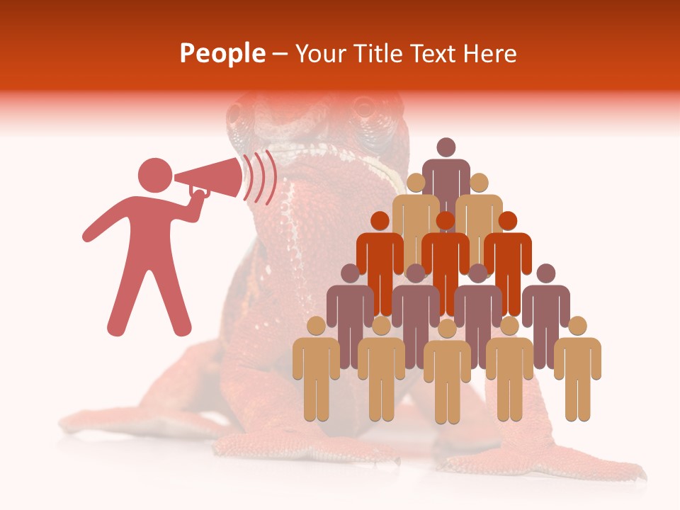 Endangered Chameleon Furcifer Pardalis Gazing PowerPoint Template