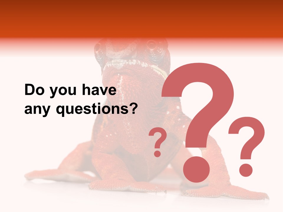 Endangered Chameleon Furcifer Pardalis Gazing PowerPoint Template