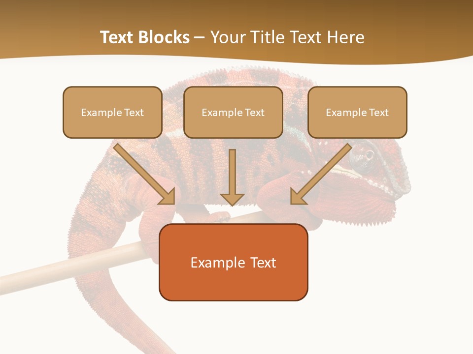 Colored Animal Multicolor PowerPoint Template