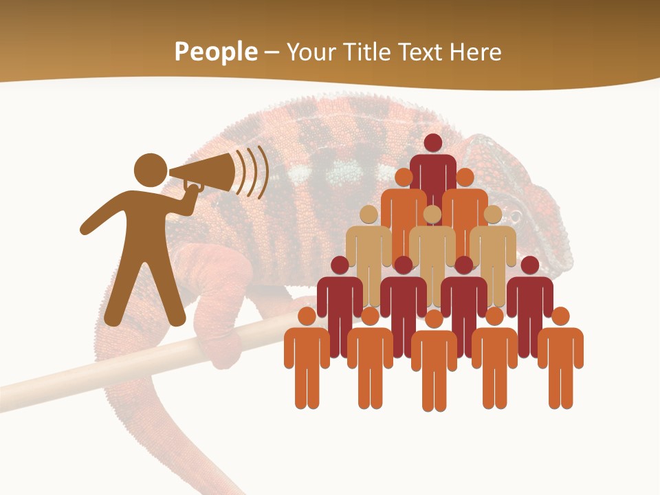 Colored Animal Multicolor PowerPoint Template