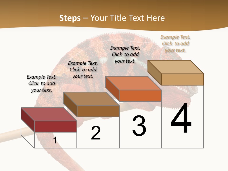Colored Animal Multicolor PowerPoint Template