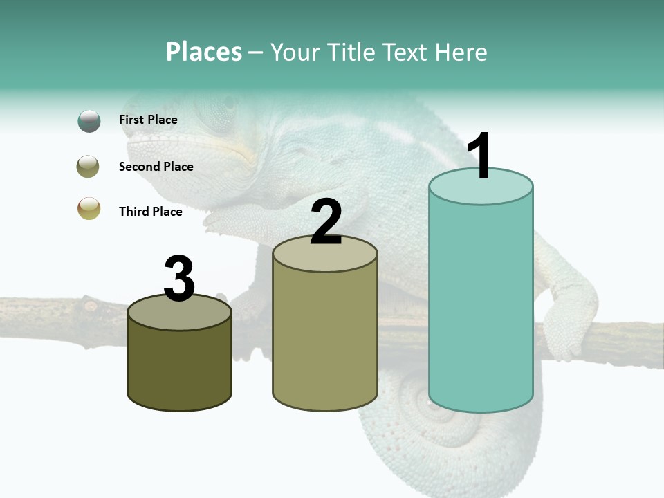 Color Colored Animal PowerPoint Template