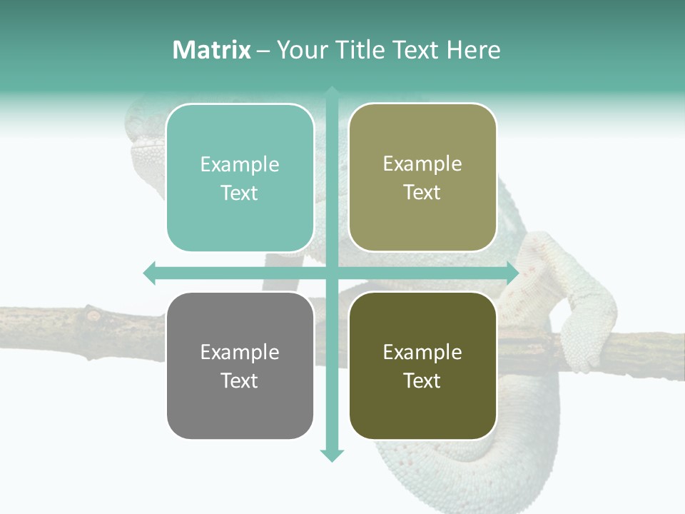 Color Colored Animal PowerPoint Template