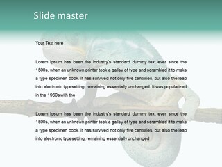 Color Colored Animal PowerPoint Template