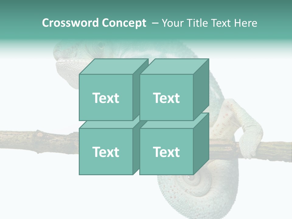 Color Colored Animal PowerPoint Template