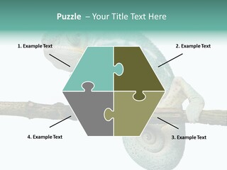 Color Colored Animal PowerPoint Template