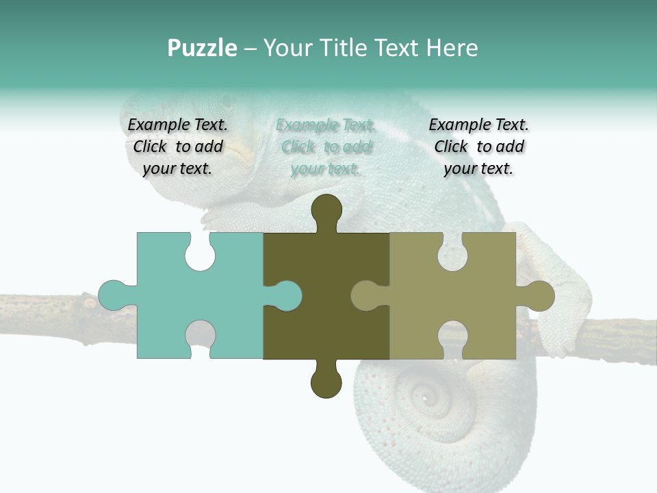 Color Colored Animal PowerPoint Template