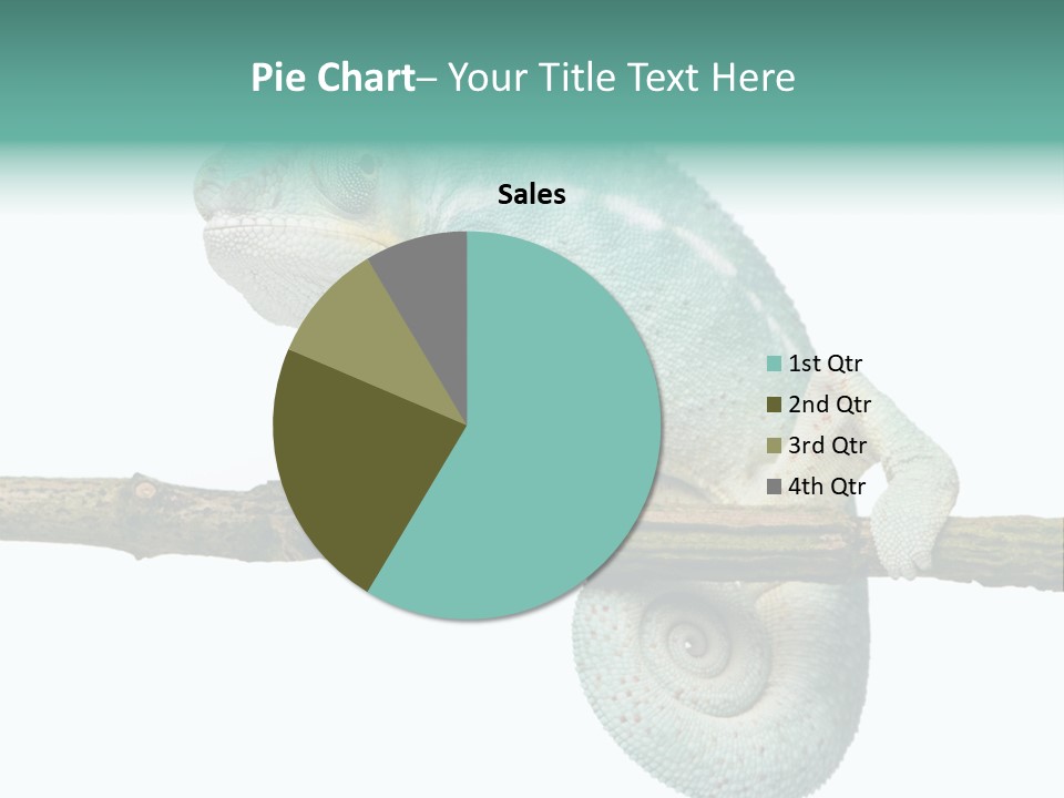 Color Colored Animal PowerPoint Template