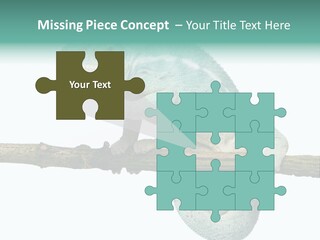 Color Colored Animal PowerPoint Template