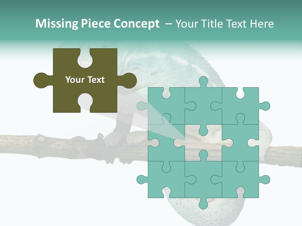 Color Colored Animal PowerPoint Template