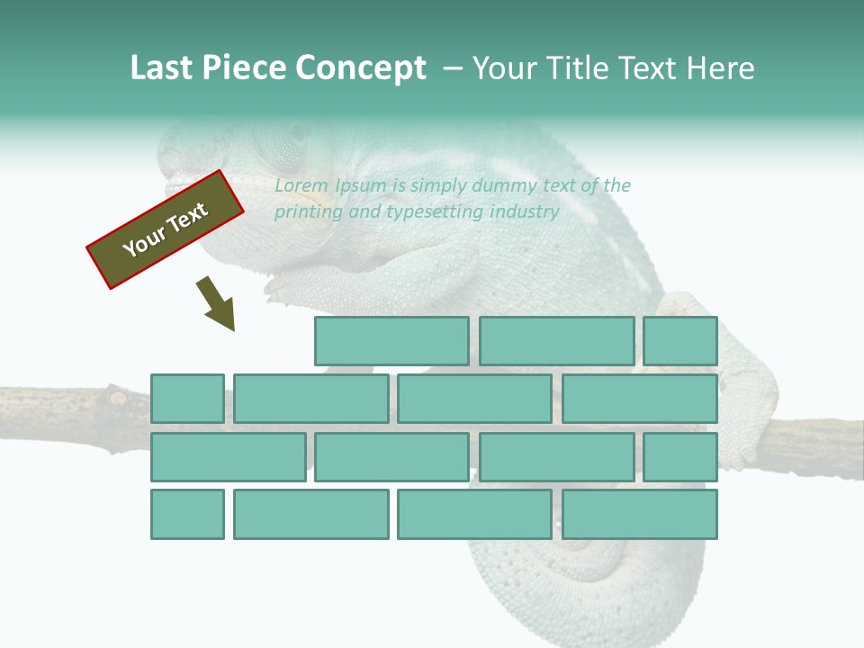 Color Colored Animal PowerPoint Template