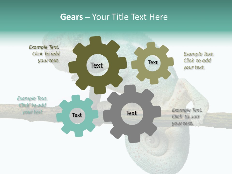 Color Colored Animal PowerPoint Template