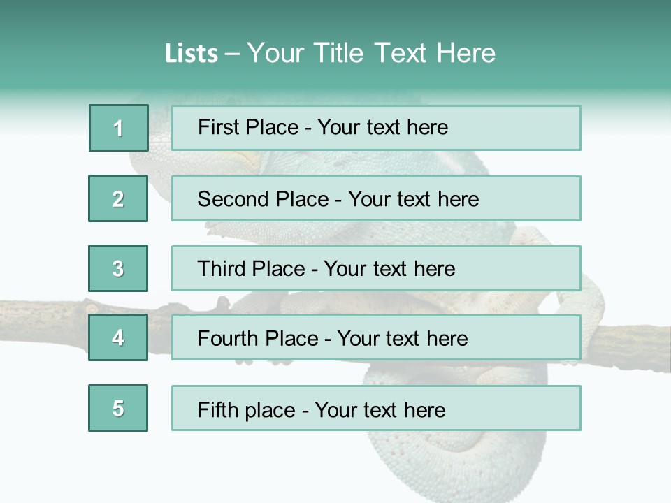 Color Colored Animal PowerPoint Template