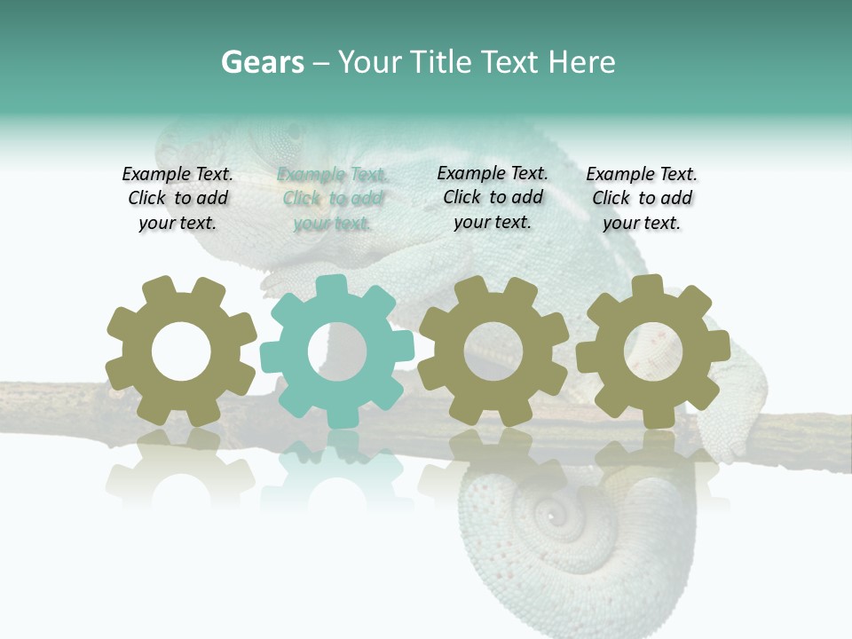 Color Colored Animal PowerPoint Template