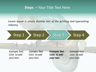 Color Colored Animal PowerPoint Template