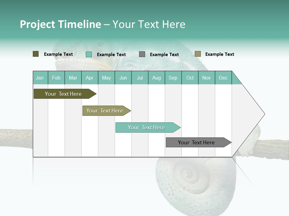 Color Colored Animal PowerPoint Template