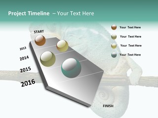Color Colored Animal PowerPoint Template