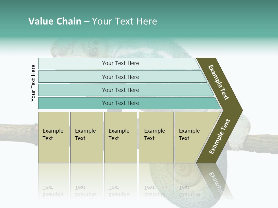 Color Colored Animal PowerPoint Template