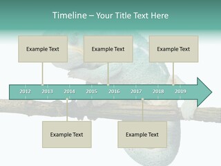 Color Colored Animal PowerPoint Template