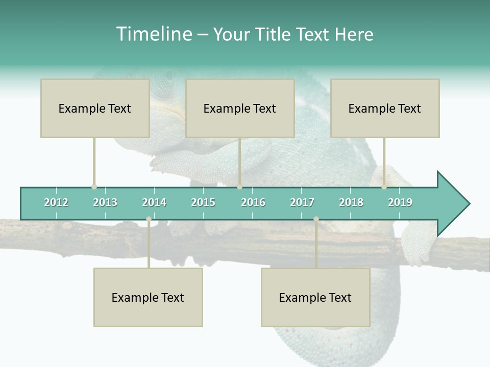 Color Colored Animal PowerPoint Template