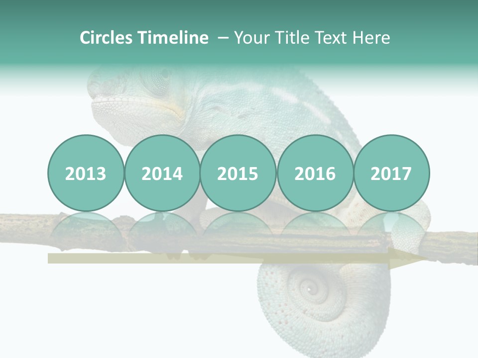 Color Colored Animal PowerPoint Template