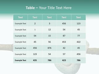 Color Colored Animal PowerPoint Template