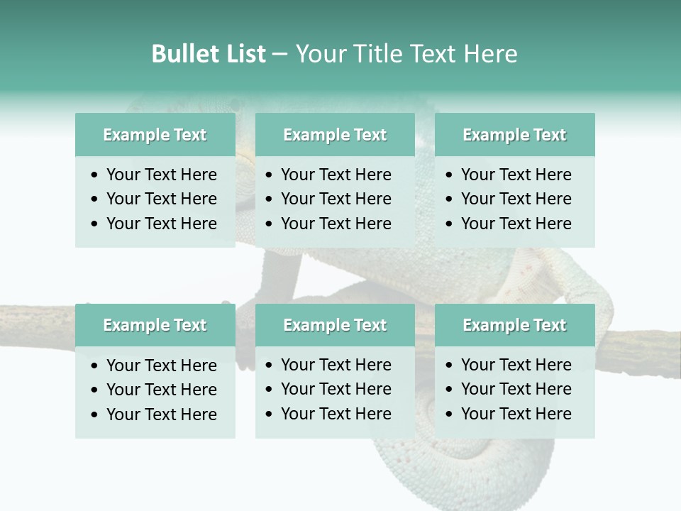 Color Colored Animal PowerPoint Template