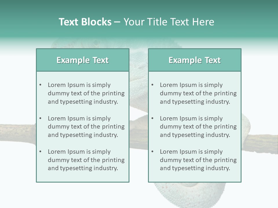 Color Colored Animal PowerPoint Template