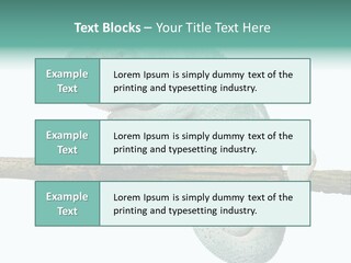 Color Colored Animal PowerPoint Template