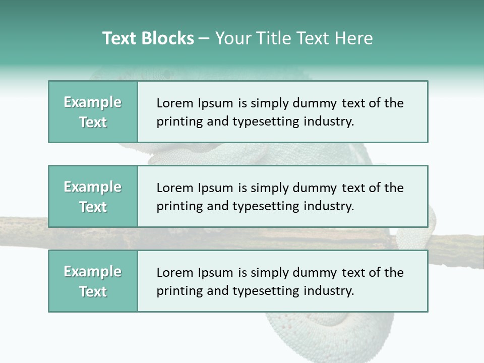 Color Colored Animal PowerPoint Template