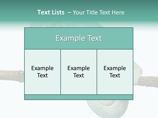 Color Colored Animal PowerPoint Template