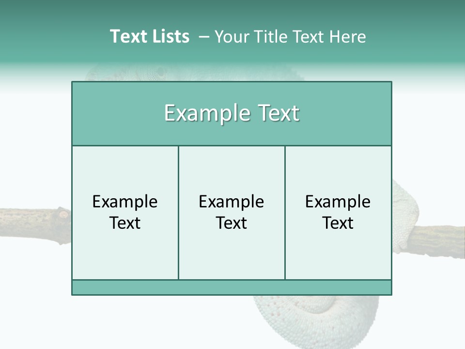 Color Colored Animal PowerPoint Template