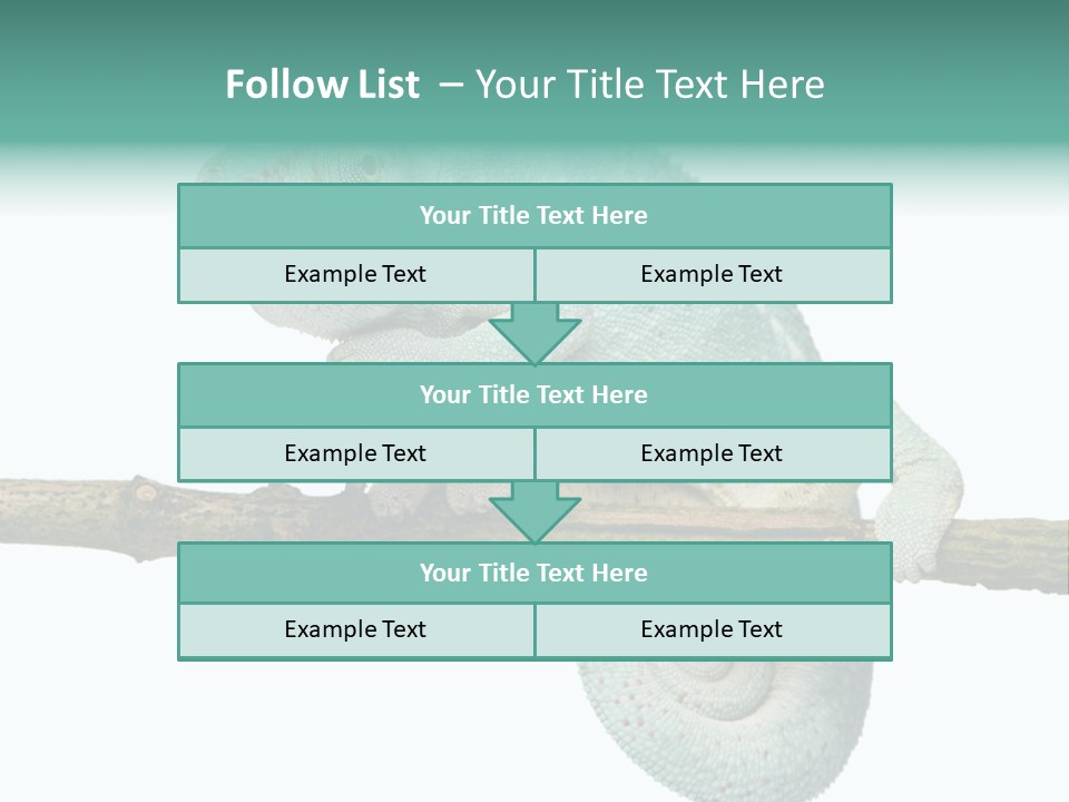 Color Colored Animal PowerPoint Template