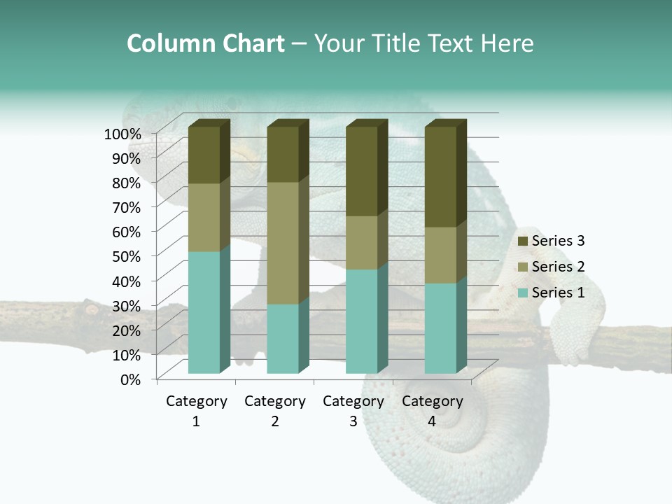 Color Colored Animal PowerPoint Template