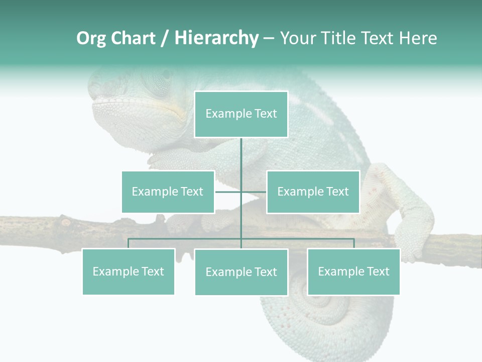 Color Colored Animal PowerPoint Template