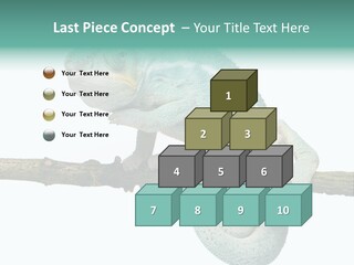 Color Colored Animal PowerPoint Template