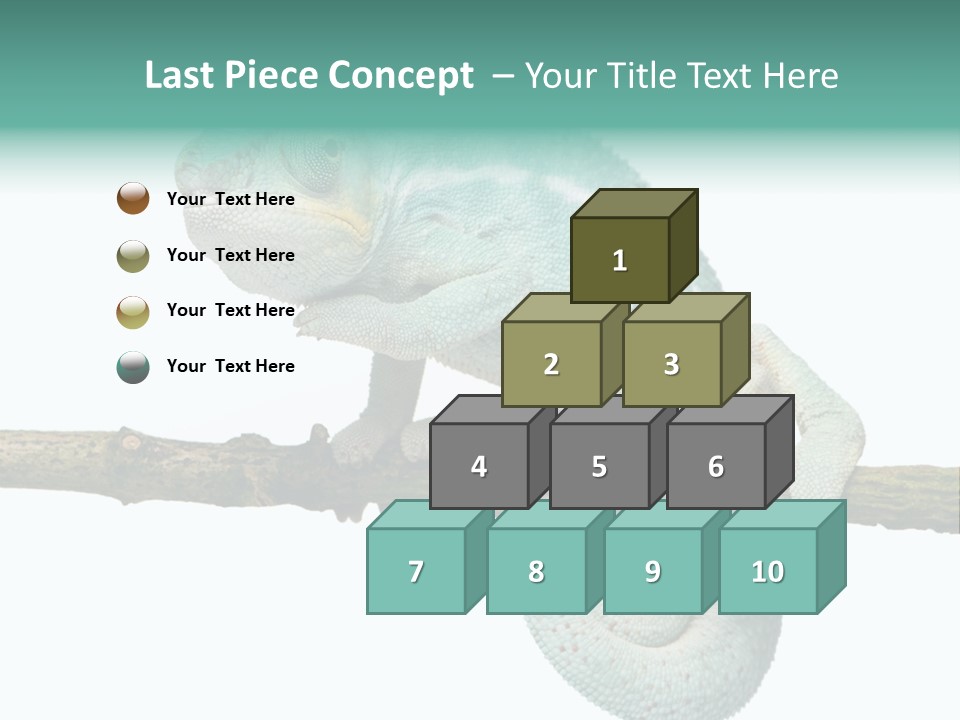 Color Colored Animal PowerPoint Template