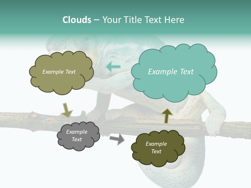 Color Colored Animal PowerPoint Template