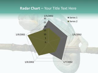 Color Colored Animal PowerPoint Template