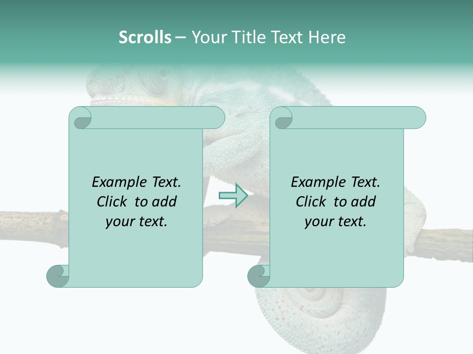 Color Colored Animal PowerPoint Template