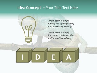 Color Colored Animal PowerPoint Template